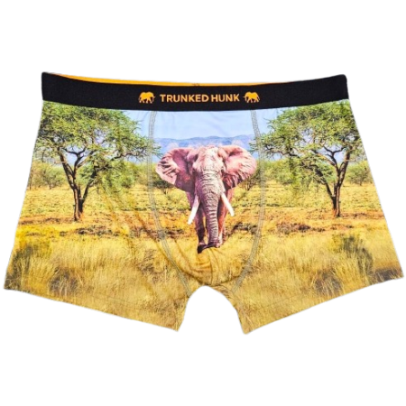 Trunked Hunk - Elephant 