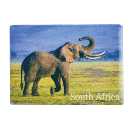 South Africa, Elephant Savannah/Blue Sky