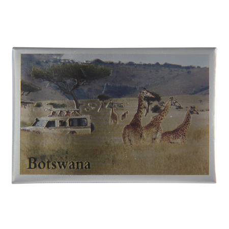 Botswana- Game Drive Giraffe (8x5.5cm)