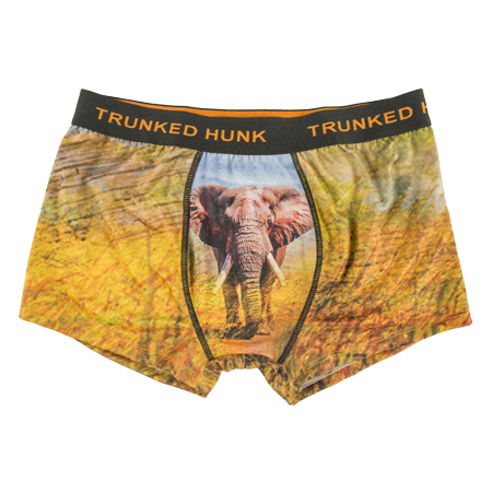 Trunked Hunk - Elephant 