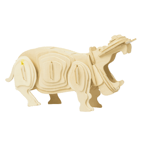 CON-Hippo