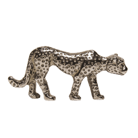 ORN-Cheetah