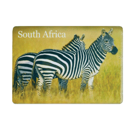 South Africa, Zebra