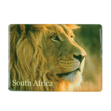 South Africa, Lion