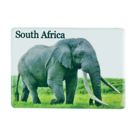 South Africa, Elephant
