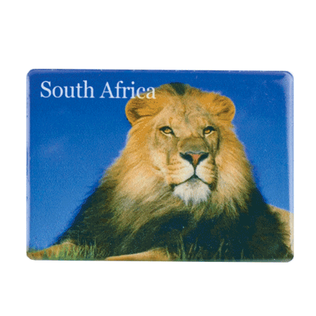 South Africa, Lion Blue Sky