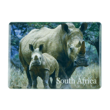 South Africa, Rhino