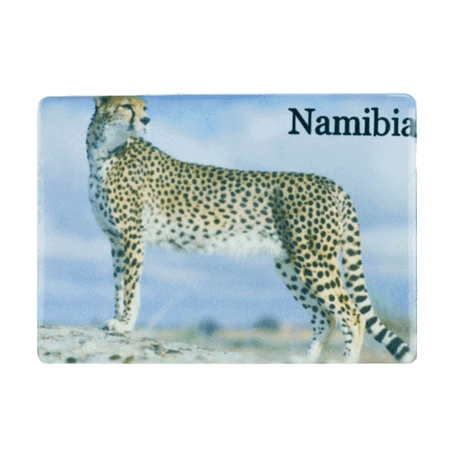 Namibia, Cheetah