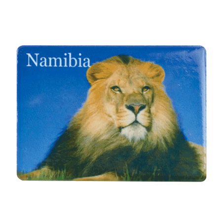 Namibia, Lion Blue Sky