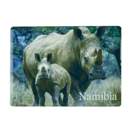 Namibia, Rhino
