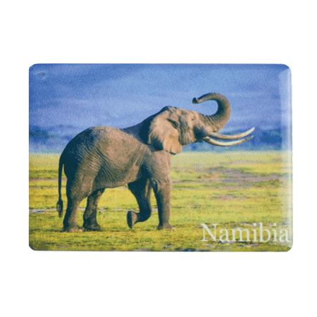 Namibia, Elephant Savannah/Blue Sky