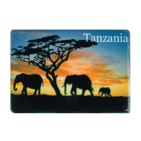 Tanzania, Elephant Red Sky