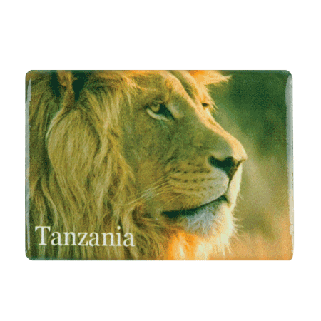 Tanzania, Lion
