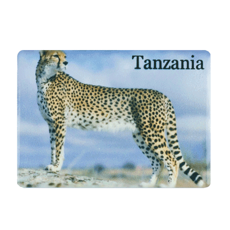 Tanzania, Cheetah