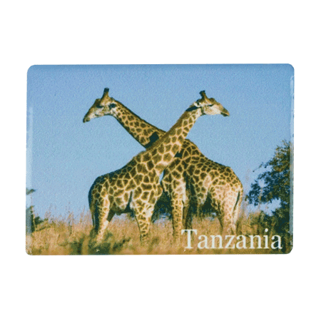 Tanzania, Giraffe