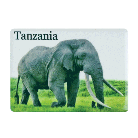 Tanzania, Elephant