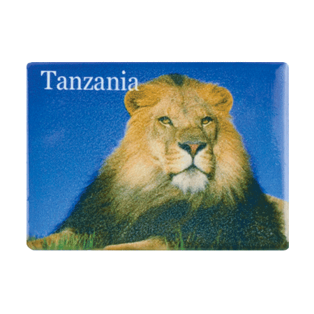 Tanzania, Lion Blue Sky