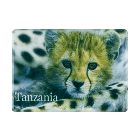 Tanzania, Cheetah Cub