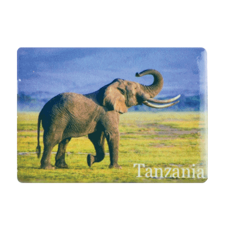 Tanzania, Elephant Savannah/Blue Sky