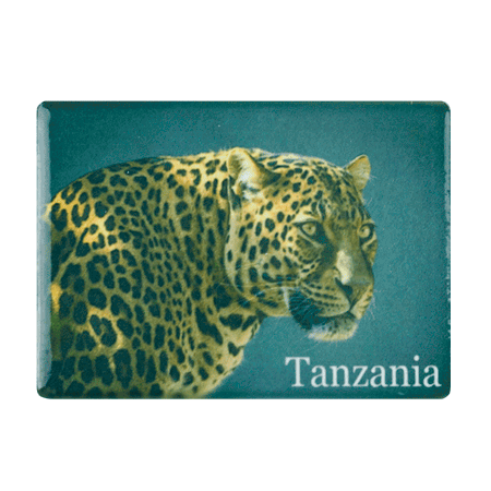 Tanzania, Leopard