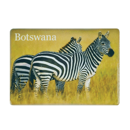 Botswana, Zebra