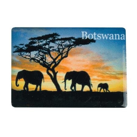 Botswana, Elephant Red Sky