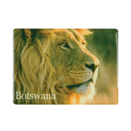 Botswana, Lion