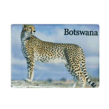 Botswana, Cheetah