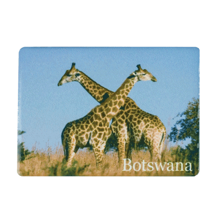 Botswana, Giraffe