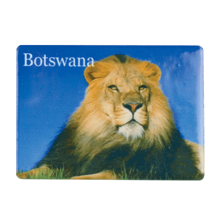 Botswana, Lion Blue Sky