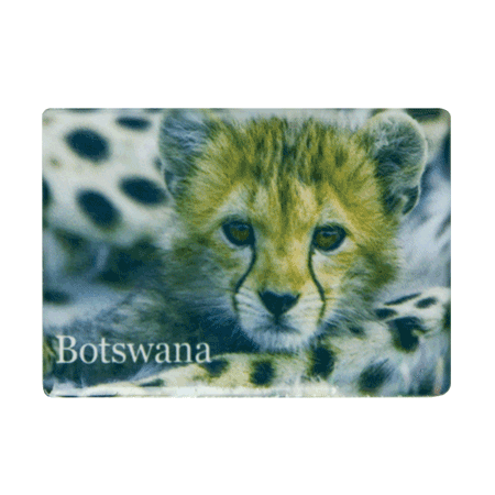 Botswana, Cheetah Cub
