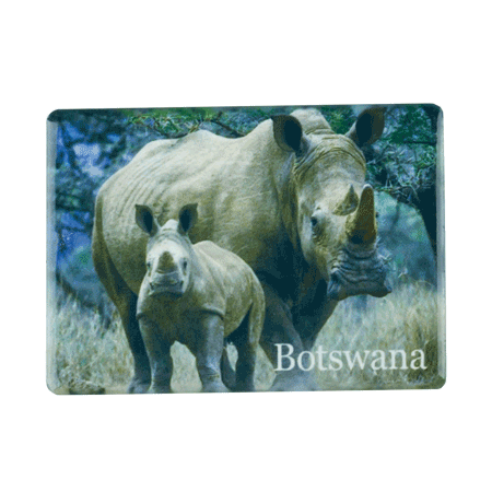 Botswana, Rhino