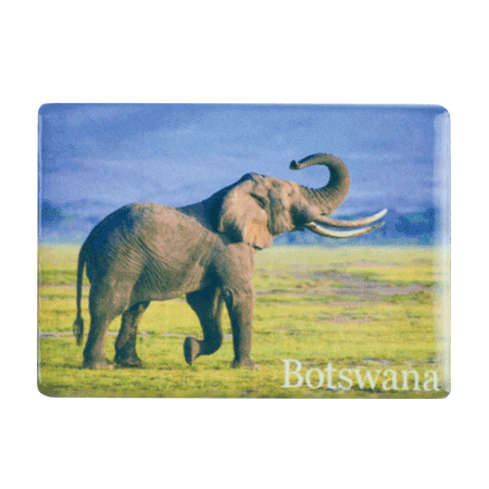 Botswana, Elephant Savannah/Blue Sky