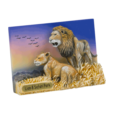 Hand Painted 2 Lions Magnet