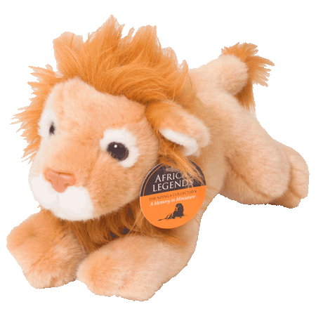 Young Male Lion 21cm