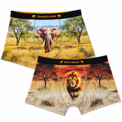 Novelty Boxers