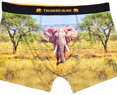 Fundies – Trunked Hunk – Elephant