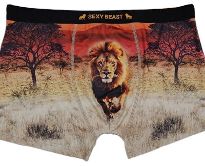 Fundies – Sexy Beast – Lion