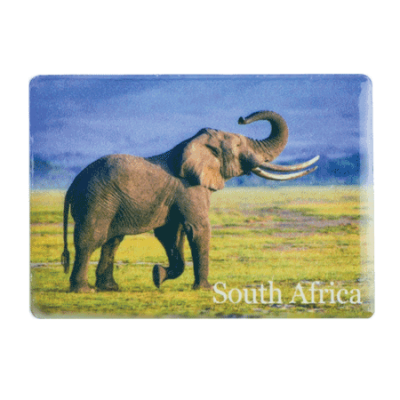 Ceramic Fridge Magnet - South Africa - Elephant Savannah/Blue Sky