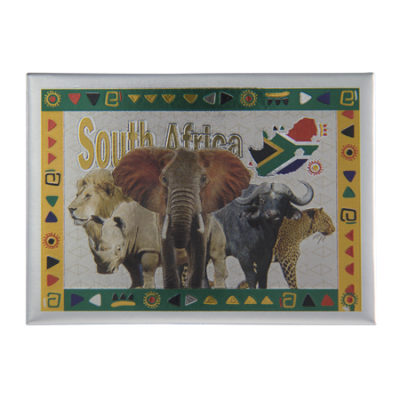 Tin Foil Fridge Magnet - South Africa - 9x6.5cm - Big 5