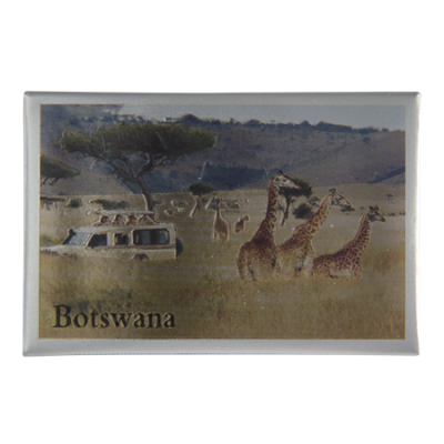 Tin Foil Fridge Magnet - Botswana - 8x5.5cm - Game Drive Giraffe