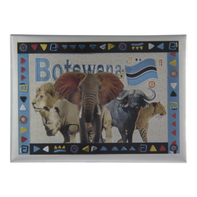 Tin Foil Fridge Magnet - Botswana - 9x6.5cm - Big 5