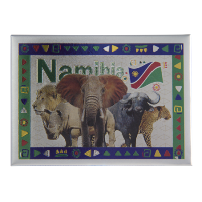 Tin Foil Fridge Magnet - Namibia - 9x6.5cm - Big 5