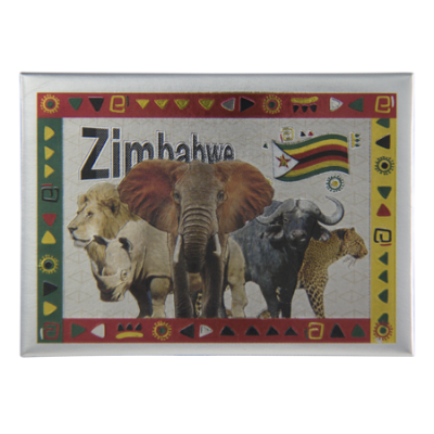 Tin Foil Fridge Magnet - Zimbabwe - 9x6.5cm - Big 5