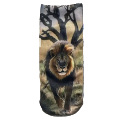 Secret Socks - Lion