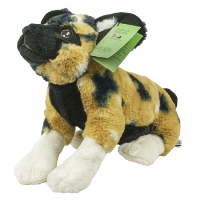 Wild Dog Lying 30cm
