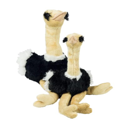 Small Ostrich 28cm
