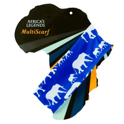Elephant-Blue