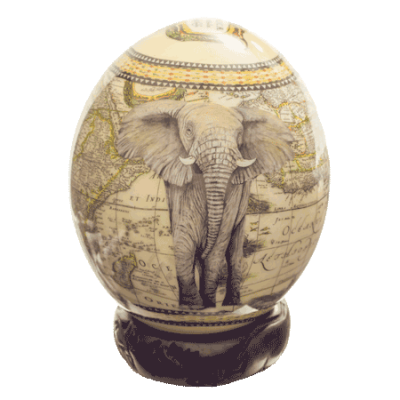 Elephant with Map of Africa