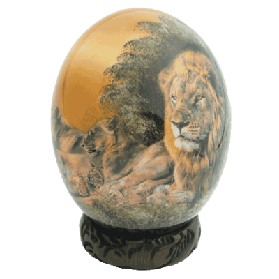 Lion Pride - Orange
